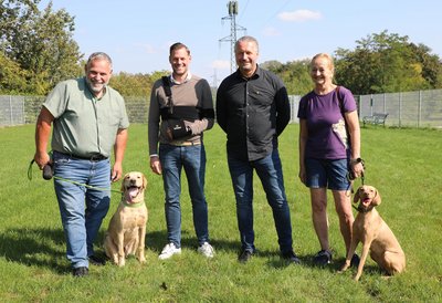 Krems hat eine Hundezone: Freilauf für Hunde in der Stadt 