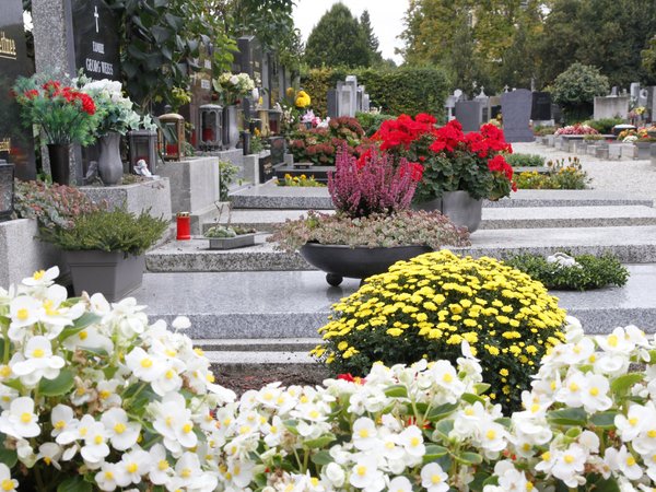 Gepflegte Gräber auf einem Friedhof, geschmückt mit Blumen und Laternen.