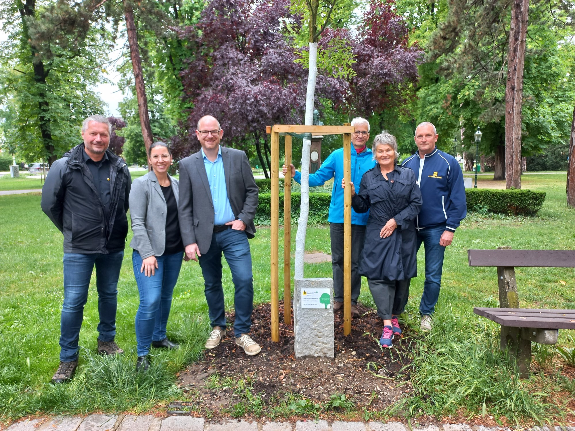 Zwei Vertreter der Firma Siedl mit Vertretern der Stadt und der Initiative Klimabaum beim neu gepflanzten Schnurbaum im Stadtpark