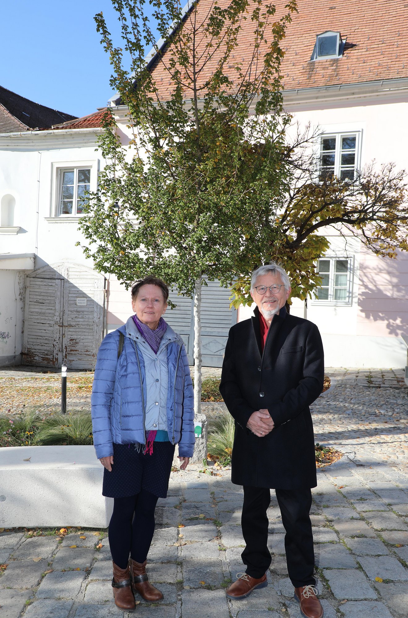 17.10.2024, Paten Karin und Gerhard Rührlinger am Hohen Markt, Baumart Feldahorn 