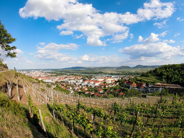 M;alerischer Blick von den Weinbergen aus auf die Stadt Krems bei strahlend blauem Himmel, im Hintergrund die Donau