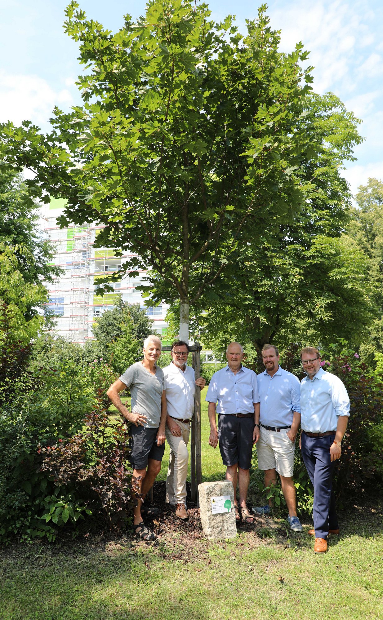 19.07.2024, Pate Verschönerungsverein Altstadt-Mitterau im Mitteraupark I, Baumart Spitzahorn