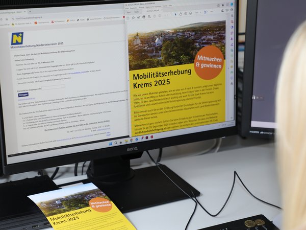 Frau vor PC auf dem die Startseite der Mobilitätserhebung geöffnet ist.