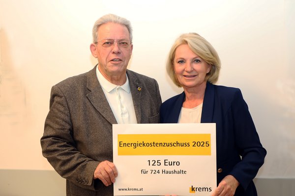 Gemeinderat Mahrer und Vizebürgermeisterin Hollerer im Rathaus.